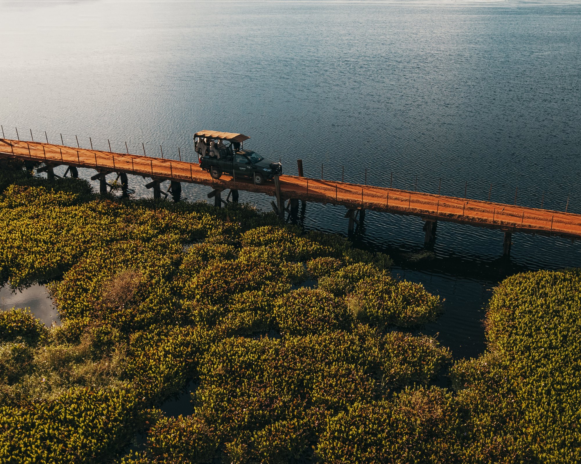 Open safari vehicle crossing a wooden bridge over the bay at Caiman Ecological Refuge in the South Pantanal