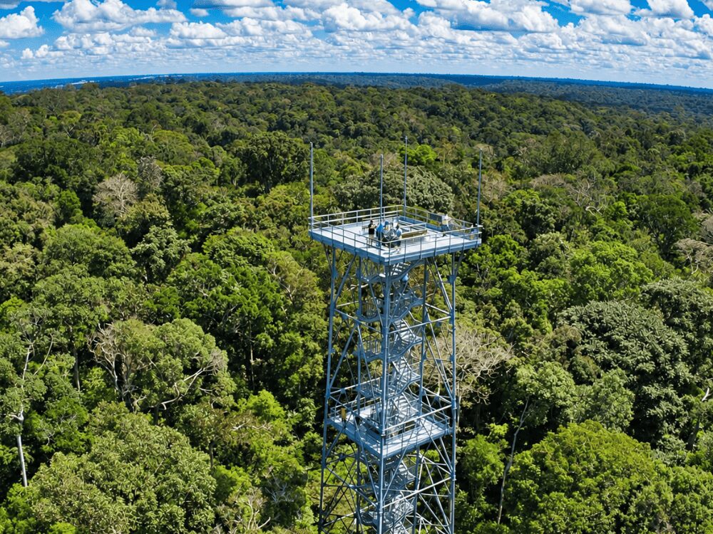 Tour d’observation du MUSA, le Museu da Amazônia à Manaus, qui s’élève au-dessus de la canopée
